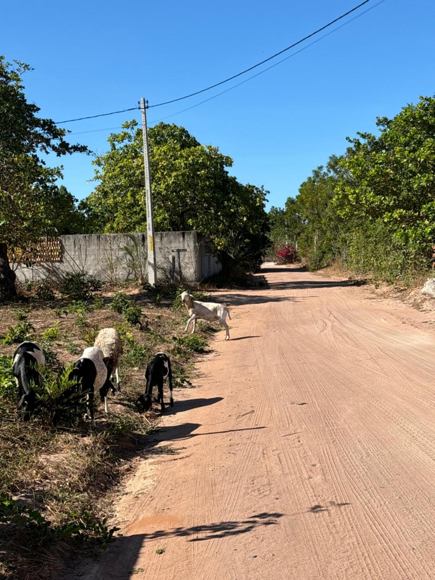 Casa Da Lagoa Jijoca de Jericoacoara Bagian luar foto